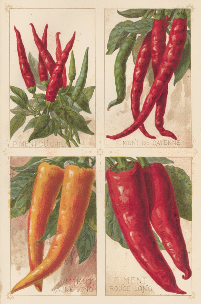 Item nr. 156656 Piment (chili pepper). Les Plantes Potageres. Vilmorin-Andrieux et cie.