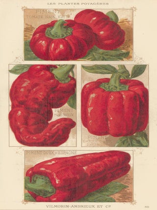 Item nr. 156657 Piment (chili pepper). Les Plantes Potageres. Vilmorin-Andrieux et cie