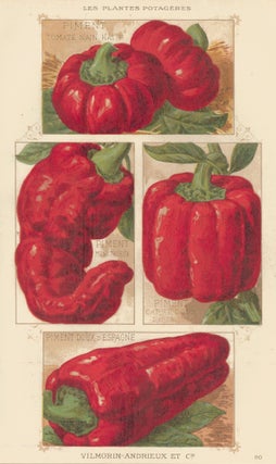 Item nr. 156657 Piment (chili pepper). Les Plantes Potageres. Vilmorin-Andrieux et cie