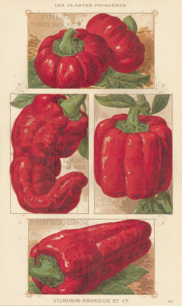 Item nr. 156657 Piment (chili pepper). Les Plantes Potageres. Vilmorin-Andrieux et cie.