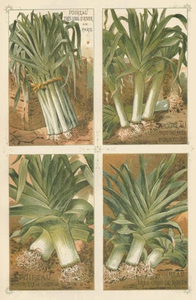 Item nr. 156658 Poireau (leek). Les Plantes Potageres. Vilmorin-Andrieux et cie