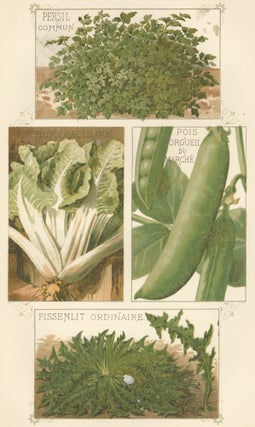 Item nr. 156659 Persil (parsley) and Pois (pea). Les Plantes Potageres. Vilmorin-Andrieux et cie