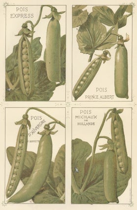 Item nr. 156660 Pois (peas). Les Plantes Potageres. Vilmorin-Andrieux et cie
