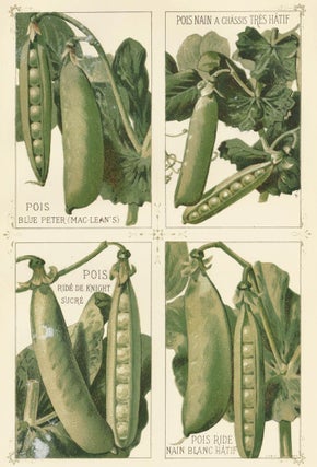 Item nr. 156661 Pois (peas). Les Plantes Potageres. Vilmorin-Andrieux et cie