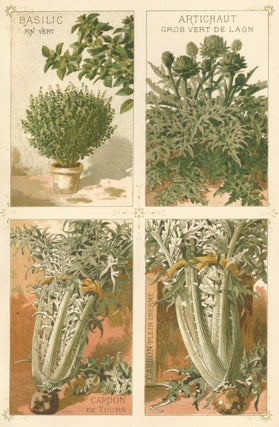 Item nr. 156672 Basilic (basil) and Artichaut (artichoke). Les Plantes Potageres....