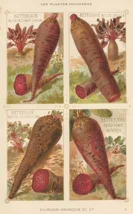 Item nr. 156673 Bettergrave (beet). Les Plantes Potageres. Vilmorin-Andrieux et cie