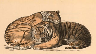 Item nr. 156997 Two Tigers. Paradis Terrestres. Paul Jouve