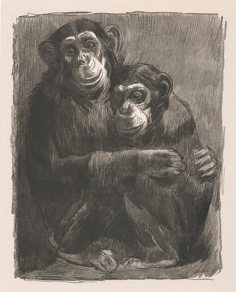 Item nr. 156999 Two Chimpanzees. Paradis Terrestres. Paul Jouve.