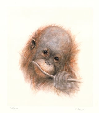 Item nr. 157042 Baby Orangutan. Dominique Denou
