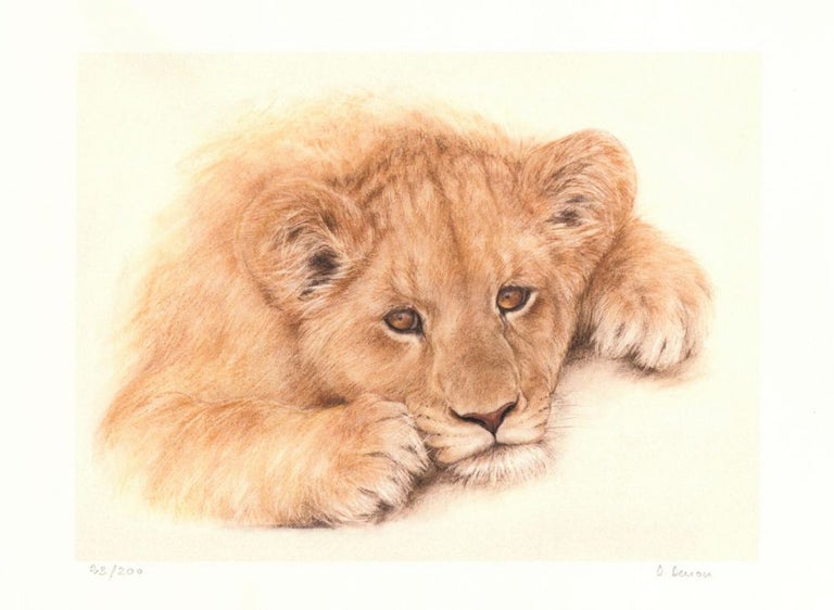 Item nr. 157047 Lion cub. Dominique Denou.