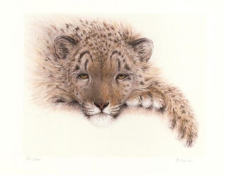 Item nr. 157049 Cheetah. Dominique Denou