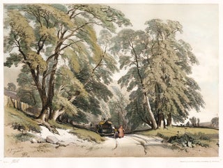 Item nr. 157101 Ash. The Park and the Forest. James Duffield Harding