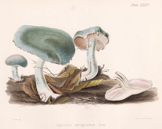 Item nr. 157170 Agaricus aeruginosus. Illustrations of British mycology. Thomas John Hussey