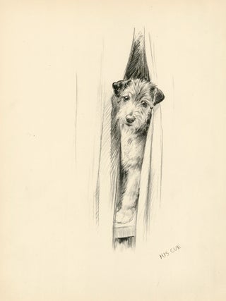 Item nr. 157272 Terrier. Just Dogs: Sketches in Pen & Pencil. Kathleen Frances Barker