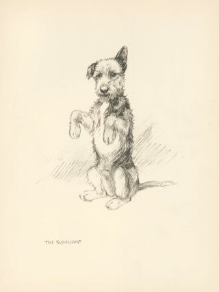 Item nr. 157273 Terrier, the Suppliant. Reverse: Dog in a coat. Just Dogs: Sketches in Pen &...
