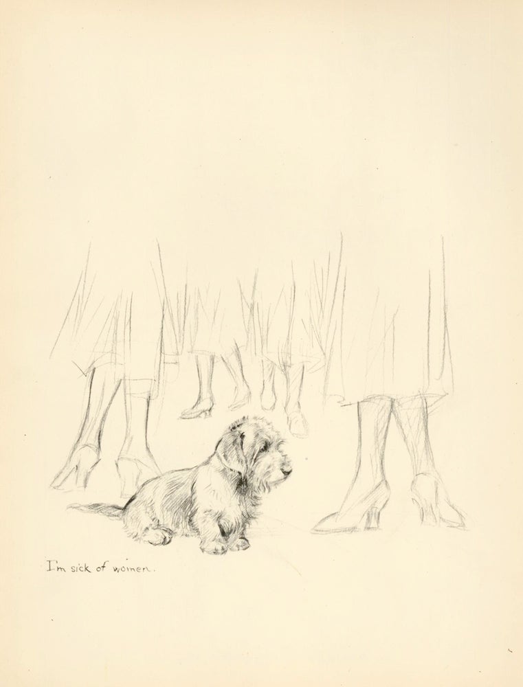 Item nr. 157274 Puppy. Reverse: Objects that scare dogs. Just Dogs: Sketches in Pen & Pencil. Kathleen Frances Barker.