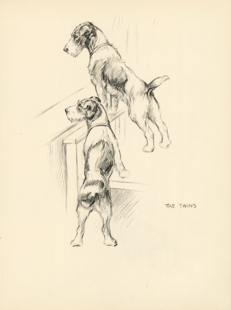 Item nr. 157276 Jack Russel Terriers: the Twins. Reverse: Black terrier. Just Dogs: Sketches in Pen & Pencil. Kathleen Frances Barker.