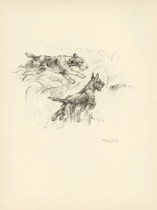 Item nr. 157322 Two dogs sprinting through a field. Reverse: Rumpus at the show. Just Dogs:...