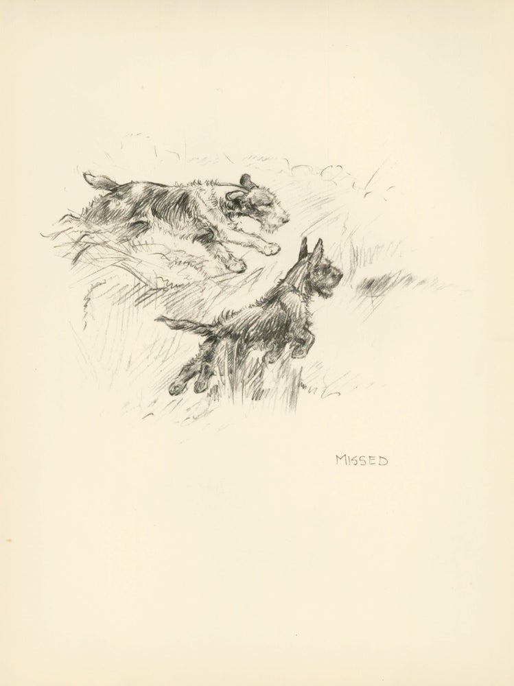 Item nr. 157322 Two dogs sprinting through a field. Reverse: Rumpus at the show. Just Dogs: Sketches in Pen & Pencil. Kathleen Frances Barker.