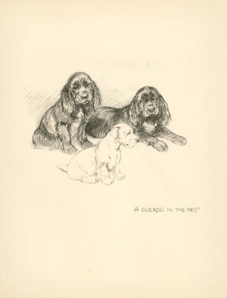 Item nr. 157323 Three Puppies. Reverse: Eye. Just Dogs: Sketches in Pen & Pencil. Kathleen...
