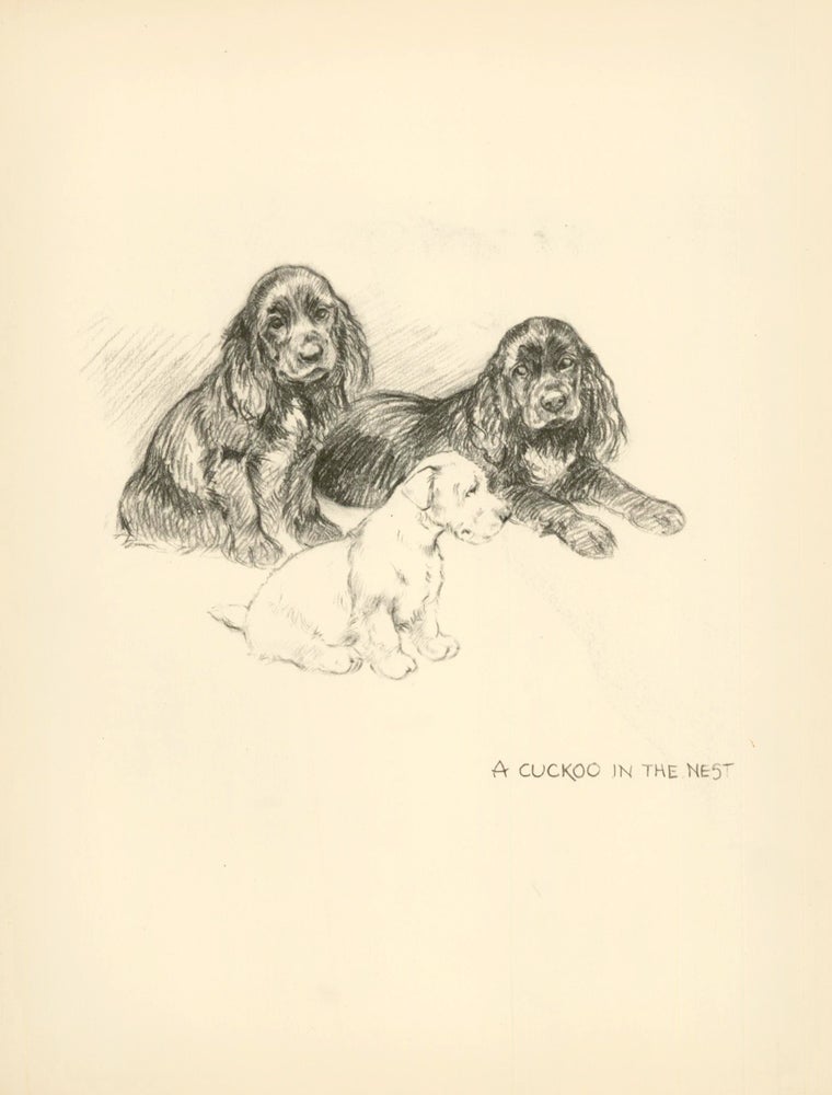 Item nr. 157323 Three Puppies. Reverse: Eye. Just Dogs: Sketches in Pen & Pencil. Kathleen Frances Barker.
