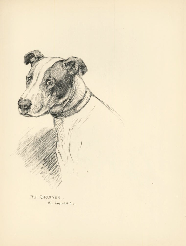 Item nr. 157325 Pitbull: the Bruiser. Reverse: Tired. Just Dogs: Sketches in Pen & Pencil. Kathleen Frances Barker.