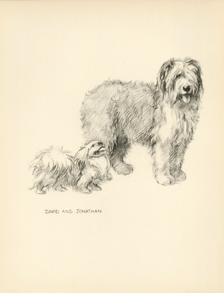 Item nr. 157332 Sheepdog and Pekingese. Reverse: Terriers. Just Dogs: Sketches in Pen & Pencil. Kathleen Frances Barker.