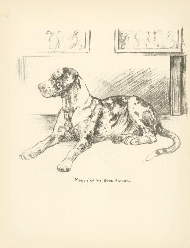 Item nr. 157336 Coonhound. Reverse: Cat and dog. Just Dogs: Sketches in Pen & Pencil. Kathleen Frances Barker.