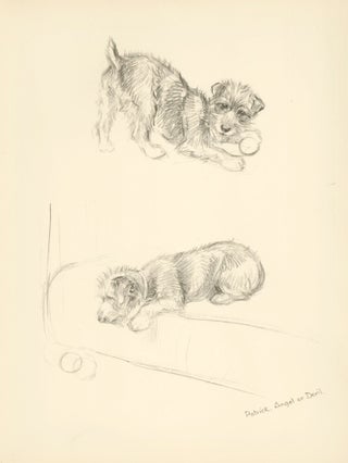 Item nr. 157348 Puppy Playing. Just Dogs: Sketches in Pen & Pencil. Kathleen Frances Barker