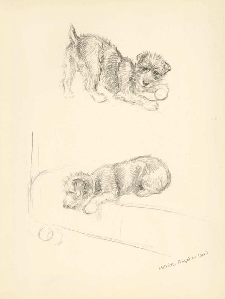 Item nr. 157348 Puppy Playing. Just Dogs: Sketches in Pen & Pencil. Kathleen Frances Barker.