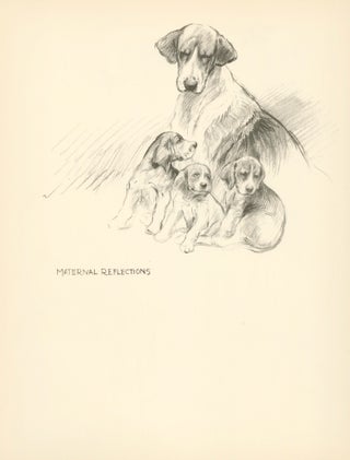 Item nr. 157359 Beagle and Puppies. Reverse: Hounds please. Just Dogs: Sketches in Pen & Pencil....