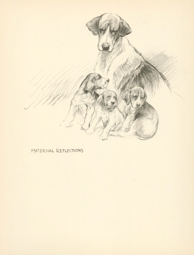 Item nr. 157359 Beagle and Puppies. Reverse: Hounds please. Just Dogs: Sketches in Pen & Pencil. Kathleen Frances Barker.
