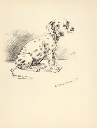 Item nr. 157361 Dalmatian Puppy. Reverse: The Weather Eye. Just Dogs: Sketches in Pen & Pencil....