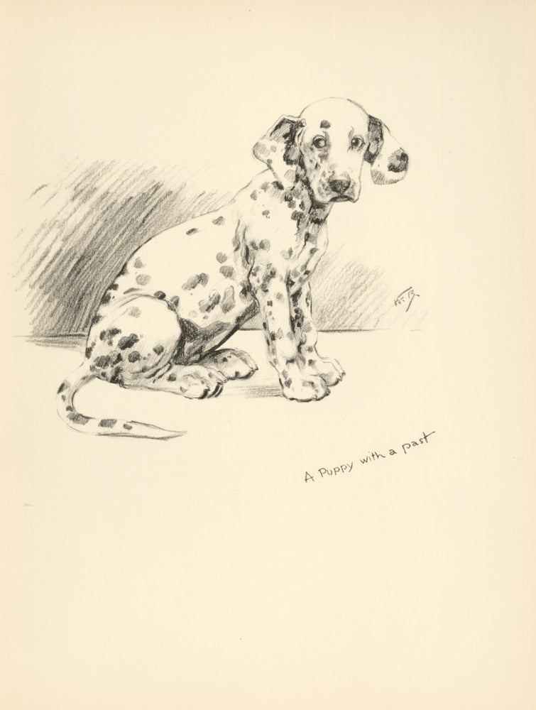 Item nr. 157361 Dalmatian Puppy. Reverse: The Weather Eye. Just Dogs: Sketches in Pen & Pencil. Kathleen Frances Barker.