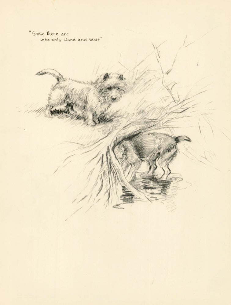 Item nr. 157363 West Highland Terrier. Reverse: Sam the Sorrowful. Just Dogs: Sketches in Pen & Pencil. Kathleen Frances Barker.