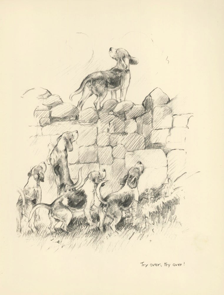 Item nr. 157368 A Group of Beagles. Reverse: Pull Devil, pull Baker! Just Dogs: Sketches in Pen & Pencil. Kathleen Frances Barker.