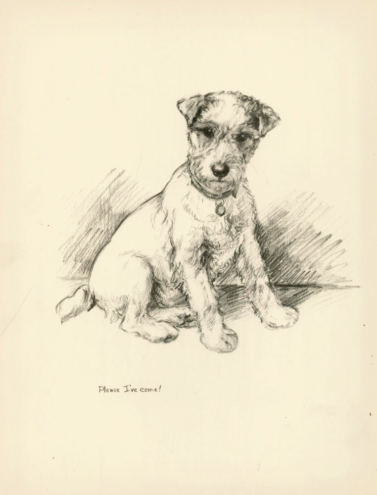 Item nr. 157369 Puppy. Reverse: Kendall and District, Otter Hounds. Just Dogs: Sketches in Pen & Pencil. Kathleen Frances Barker.