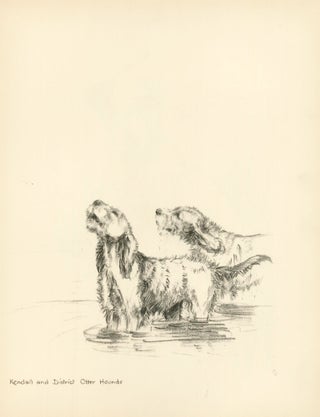 Puppy. Reverse: Kendall and District, Otter Hounds. Just Dogs: Sketches in Pen & Pencil.