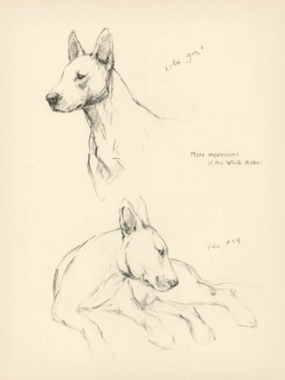 Item nr. 157370 Bull Terrier. Reverse: The White Hope. Just Dogs: Sketches in Pen & Pencil....