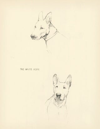 Bull Terrier. Reverse: The White Hope. Just Dogs: Sketches in Pen & Pencil.