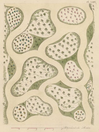 Item nr. 157812 Pl. XIX Magazijn van Tuinsieraden. Gijsbert Van Laar