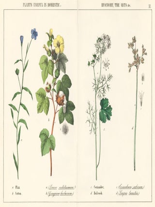 Item nr. 158614 Flax, Cotton, Coriander and Bulrush. Instructive Picture book. Robert Stark