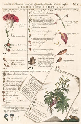 Item nr. 158725 Tab. VIII. Characteres Plantarum abservatae delineatae et aeri incisae a George...