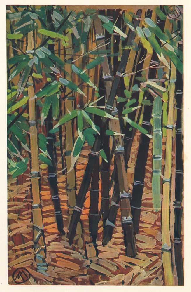 Item nr. 158731 Bamboo. La Plante Exotique. Mathurin Meheut.