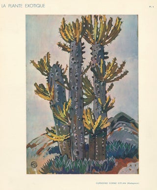 Item nr. 158733 Euphorbe Corne D'Elan. La Plante Exotique. Mathurin Meheut