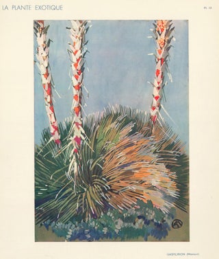 Item nr. 158737 Dasylirion. La Plante Exotique. Mathurin Meheut