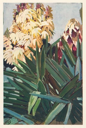 Item nr. 158738 Yucca. La Plante Exotique. Mathurin Meheut
