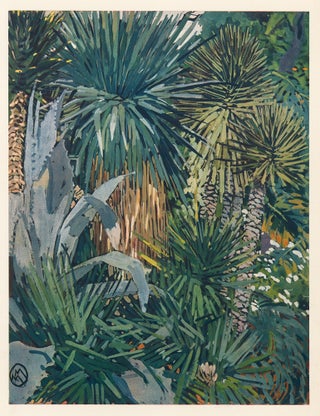 Item nr. 158740 Agave, Fourcroya and Yucca a Feuilles D'Aloes. La Plante Exotique. Mathurin Meheut