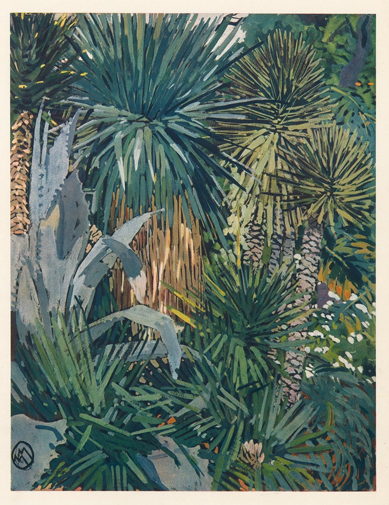 Item nr. 158740 Agave, Fourcroya and Yucca a Feuilles D'Aloes. La Plante Exotique. Mathurin Meheut.