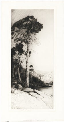 A Quiet Corner, Loch Katrine